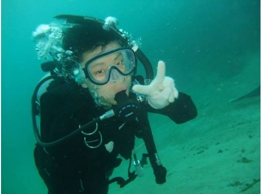 【 효고 · 타케 쵸】 ★ 온천 포함 ★ 미래 본격적으로 다이빙 을하고 싶은 분에게 추천! 본격적인 체험 다이빙の画像