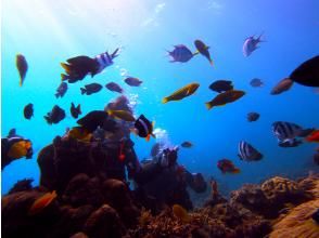 Diving & Canoe Coral Chaya