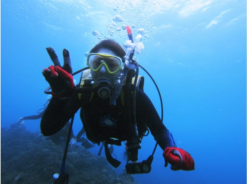 奄美大島 潛水 的季節是什麼？詳細介紹推薦店家及其口碑和評論！