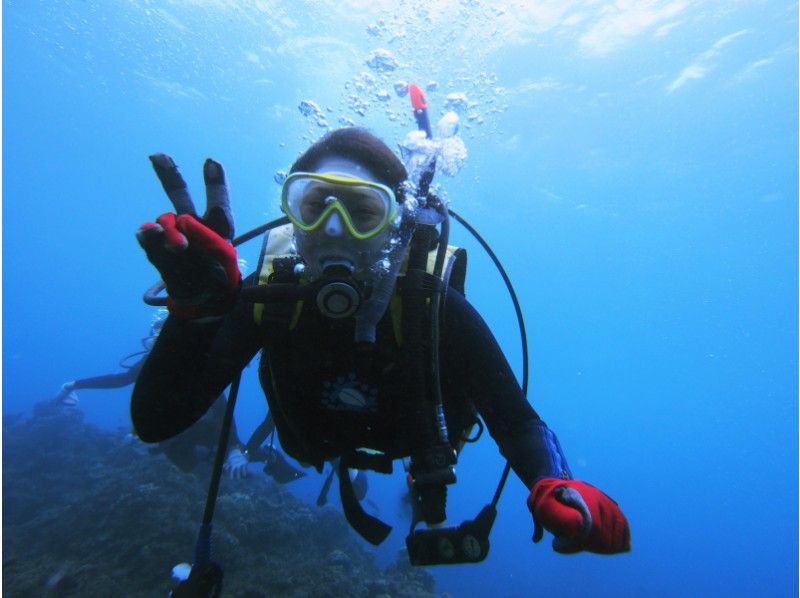 Amami Oshima Diving Tour Recommended Shop Reputation and Word of Mouth Thorough Introduction!