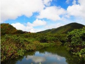 [鹿兒島奄美大島]體驗潛水和紅樹林獨木舟之旅1DAY