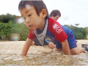 【沖縄・恩納村】小さなお子様連れに人気!泳がなくてもOKのシュノーケリング磯観察コースの画像