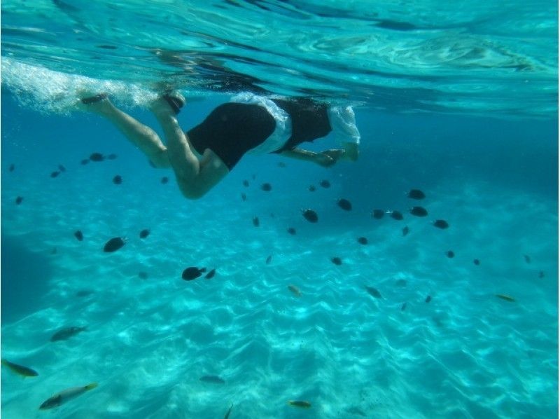 【与論島】お子様も安心！カラフルな熱帯魚と泳ぐスノーケリングプラン(百合ヶ浜ツアーも選択可能！)