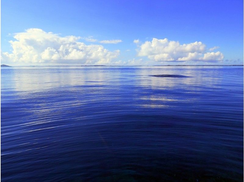 【北海道・SUP体験】透明度の高い支笏湖の湖面をクルージング！SUP体験（半日コース）の画像