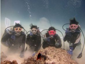 [沖繩座間味]是學生優惠！慶良間群島 - 美麗的座間味海上潛水經驗の画像