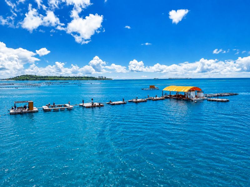 【北海道・SUP体験】透明度の高い支笏湖の湖面をクルージング！SUP体験（半日コース）の画像