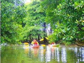 【沖縄・億首川】川から海へ！マングローブカヤック｜学生・グループで楽しめる（2時間）