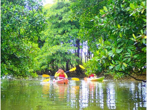【沖縄・億首川】川から海へ！マングローブカヤック｜学生・グループで楽しめる（2時間）の画像