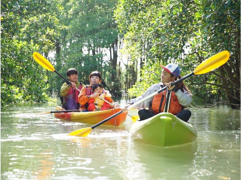 [Okinawa ・ Billion Shukawa] Mangrove Kayak ☆ Completely reserved ☆ Great adventure from the subtropical jungle to the sea! November to June onlyの紹介画像