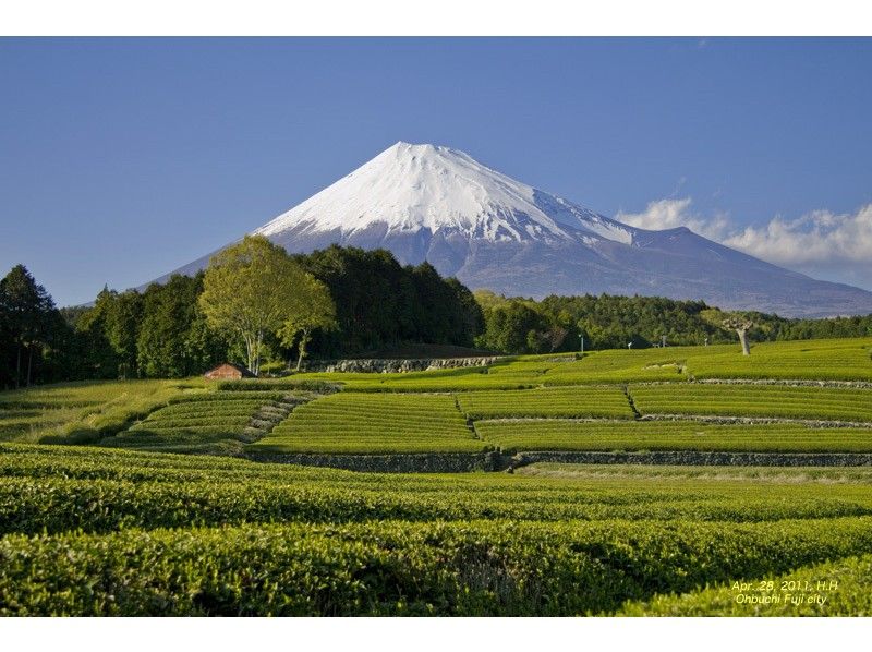 【静岡・富士】「海から日本の頂へ」海抜０ｍからの富士登山 ～第１回 海から修験道の聖地へ～の紹介画像