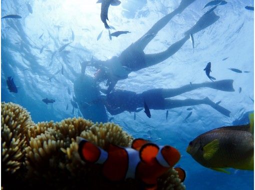 【沖縄・本部・瀬底島】バナナボートで行くシュノーケリング♪の画像