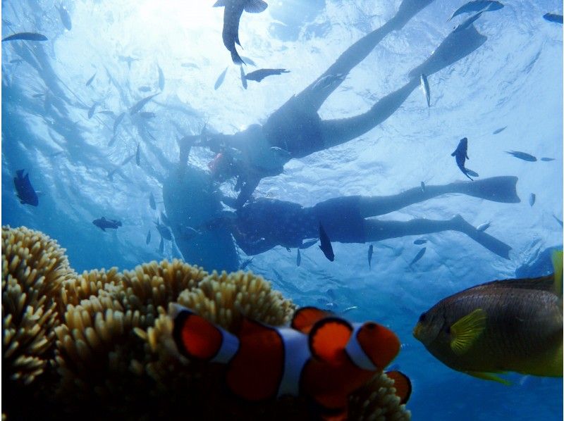 【沖縄・本部・瀬底島】バナナボートで行くシュノーケリング