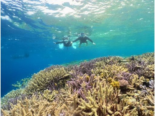 【沖縄・宮古島】気軽にトライ可！八重干瀬（ヤビジ）半日ボートシュノーケリングツアーの画像