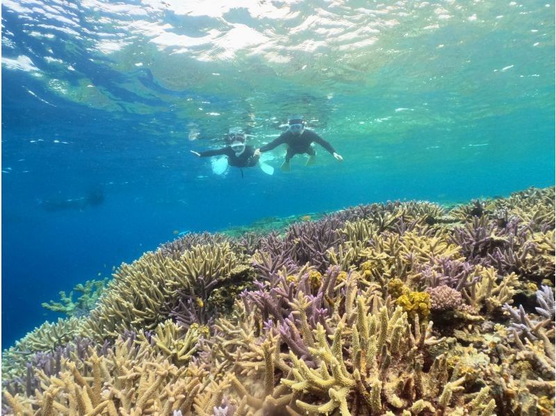【北海道・SUP体験】透明度の高い支笏湖の湖面をクルージング！SUP体験（半日コース）の画像