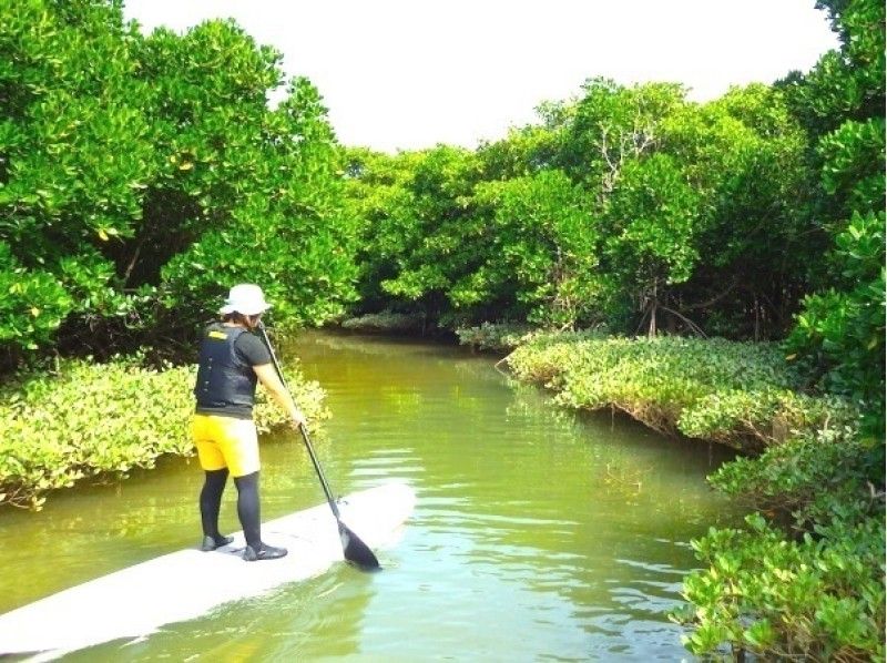 [沖縄北·Yanbaru]紅樹林·探索遊船課程（150分鐘）の紹介画像