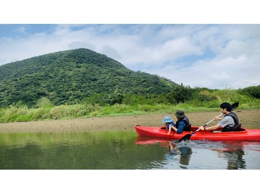 [Kagoshima/Amami Oshima] ★Transportation included★Private tour★One-day mangrove canoe tour and Amami's spectacular viewsの画像