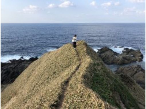 SALE！【鹿児島・奄美大島】★送迎付き★貸切★１日ツアーマングローブカヌーと奄美の絶景ツアーの画像