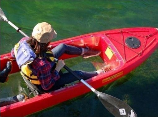 【北海道・支笏湖】手ぶらでOK！（春・夏）底が透明なクリアカヤックで、水質日本トップクラスの湖・川の美しさを体感！ツアー写真無料の画像