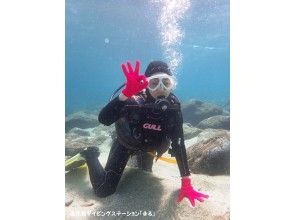 【鹿児島・屋久島】【体験ダイビング（1ダイブコース・1ダイブロングコース）】ゆっくり潜れるので安心！女性オーナー常駐。ウミガメ遭遇率が高い！