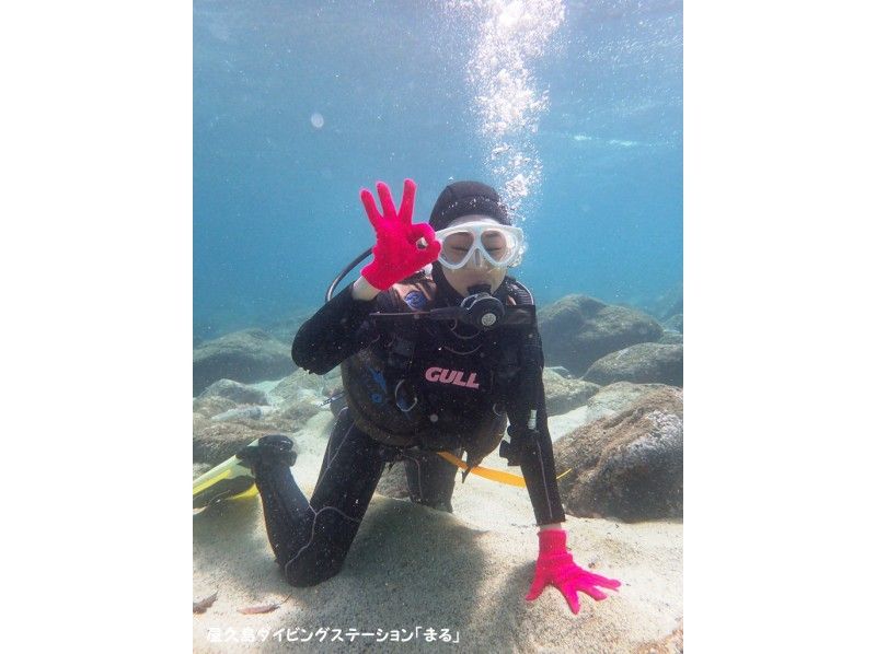 [鹿児島-屋久島]深潛初學者和一個人歡迎！經驗深潛（1個潛水課程）の紹介画像