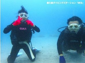 【鹿児島・屋久島】ダイビング初心者&お一人様歓迎!体験ダイビング(1ダイブコース)の画像