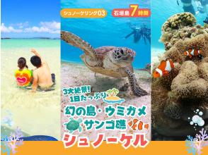 【石垣島・7時間】3大絶景&times;シュノーケリング三昧！幻の島・ウミガメ・サンゴ礁を満喫｜初心者歓迎＆送迎・写真付き_s03