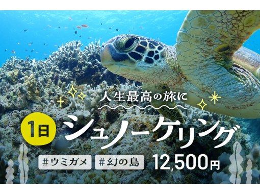 【石垣島・7時間】3大絶景×シュノーケリング三昧！幻の島・ウミガメ・サンゴ礁を満喫｜初心者歓迎＆送迎・写真付き_s03の画像