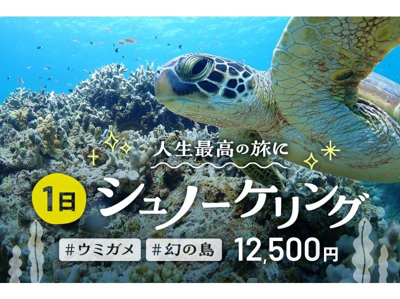 [冲绳-石垣岛]蝠or或海龟浮潜体验！经常一天课程[带照片礼物♪]の紹介画像