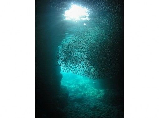 【 Okinawa Prefecture · Onna Village · Blue Cave】 plenty 50 minutes! If you want to dive long! Experience diving <Jump course>の画像