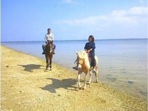 【沖縄・宮城島】乗馬をたっぷり楽しめます！ビーチ乗馬と山歩き乗馬（120分コース）の画像