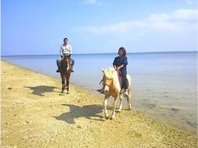 【沖縄・宮城島】乗馬をたっぷり楽しめます!ビーチ乗馬と山歩き乗馬(120分コース)
