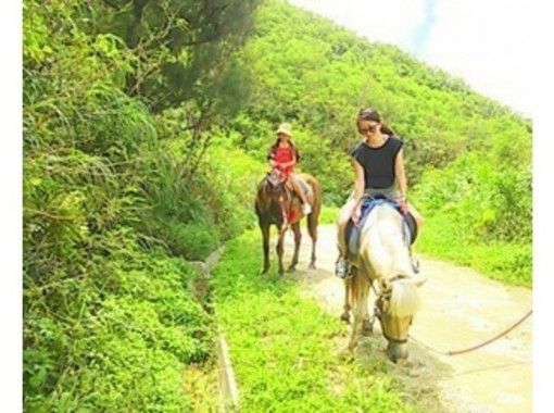 【沖縄・宮城島】森林を楽しく散歩しよう！林トレッキング乗馬（60分コース）の画像