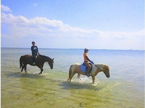 【沖縄・宮城島　　馬に乗ってビーチをたっぷり散歩しよう！ビーチ乗馬（90分コース）の画像
