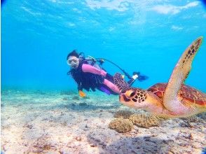 海宝館 シーブルーム