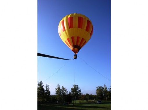 [Hokkaido Niseko]Hot air balloon mooring flight experience floating in the morning light!の画像