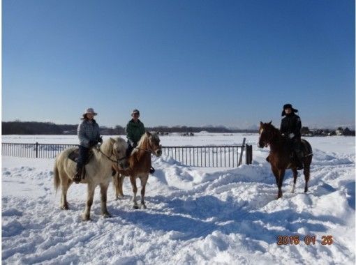 【​​​北海道​​​ ・恵庭】騎馬深入北海道大自然！深度游雪景！（2小時）の画像