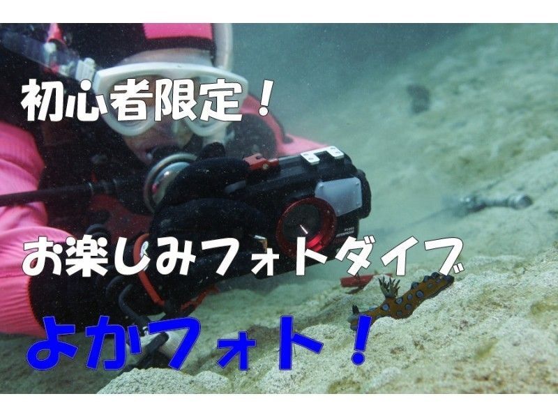 【熊本・天草】水中写真に初挑戦『よかフォト!』のプラン詳細