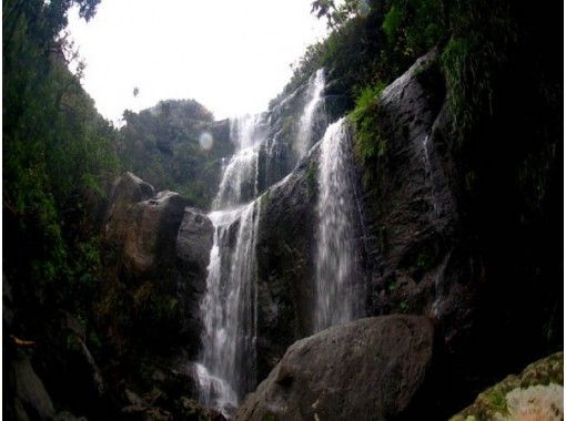 【沖縄・西表島】珍しい動植物が織り成す景観！ユツン3段の滝を目指すトレッキングツアーの画像