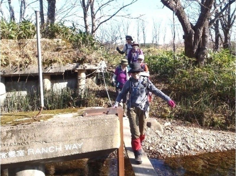 [北海道·旭川] Daisetsuzan和北海道让我们走一百座名山！有一天徒步旅行の紹介画像