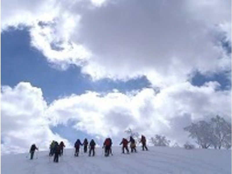 [Hokkaido ・ Asahikawa】 Let's walk on the snow! Snowshoes Haikuの紹介画像