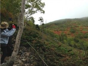 【北海道・旭川】写真撮影スポットをトレッキングで巡ろう!フォトハイクツアーの画像