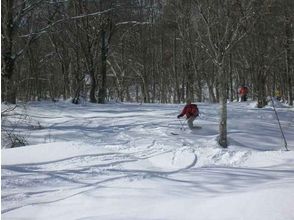 【長野・信州信濃】テレマークスキーレッスン（プライベート：1日コース）