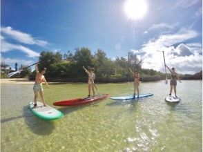 【Okinawa · Miyakojima】 WEB limited price! Popularity No. 1! SUP + Sea turtle snorkel Enjoy both half-day plan image