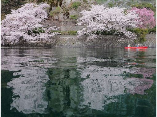 【滋賀・奥琵琶湖】お花見カヌー体験ツアー（半日コース）の画像