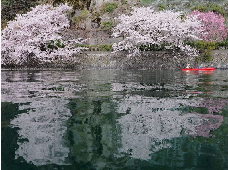 四足門 | 滋賀県観光情報［公式観光サイト］滋賀・びわ湖のすべてが