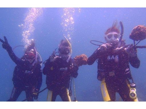 [Kanto Chiba] diving Advanced course (PADI · NAUI)の画像