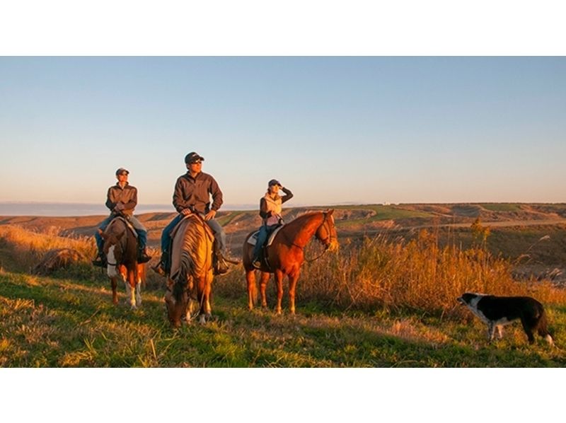 [Kumamoto Aso] 360 degrees of riding experience of large panorama! Indian course (about 20 minutes)の紹介画像