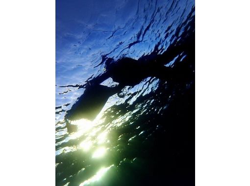 【 冲绳 ·国足】清晨蓝洞！只有一组浮潜之旅！の画像