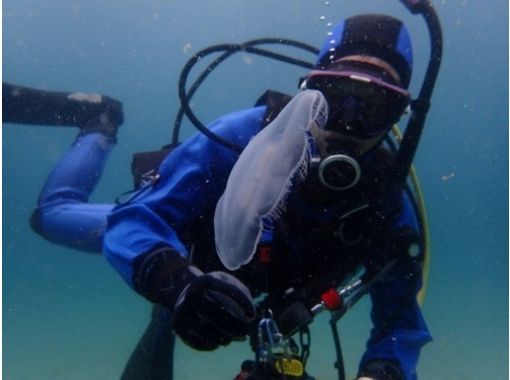 [후쿠오카텐진] 수중의 신비한 세계를 보러 가자! 체험다이빙の画像
