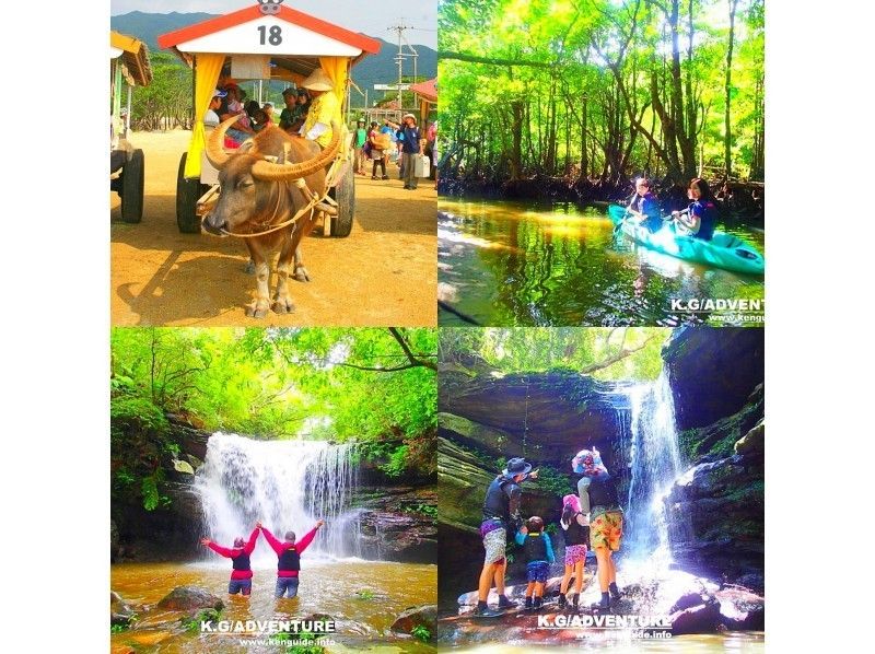 【石垣島・西表島】マングローブカヌージャングル探検秘境の滝巡り&由布島観光コース